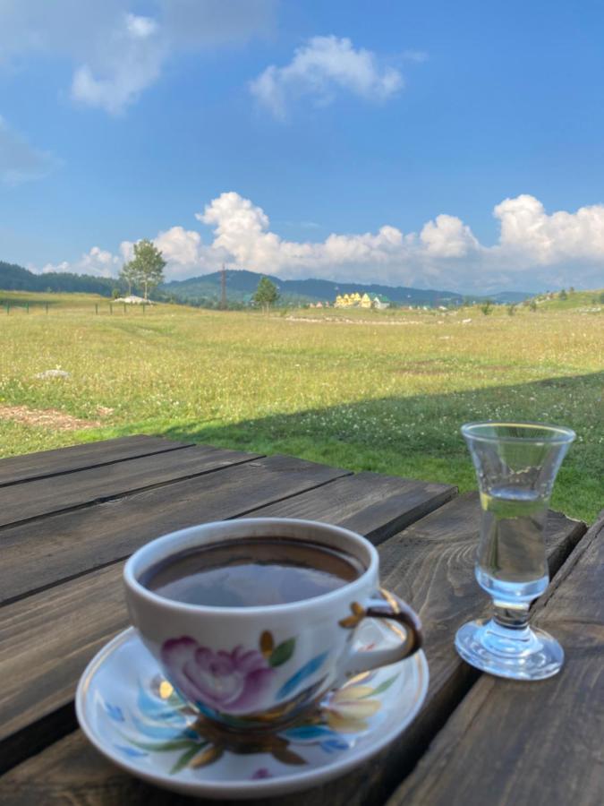 Warm Home Zabljak  Bagian luar foto