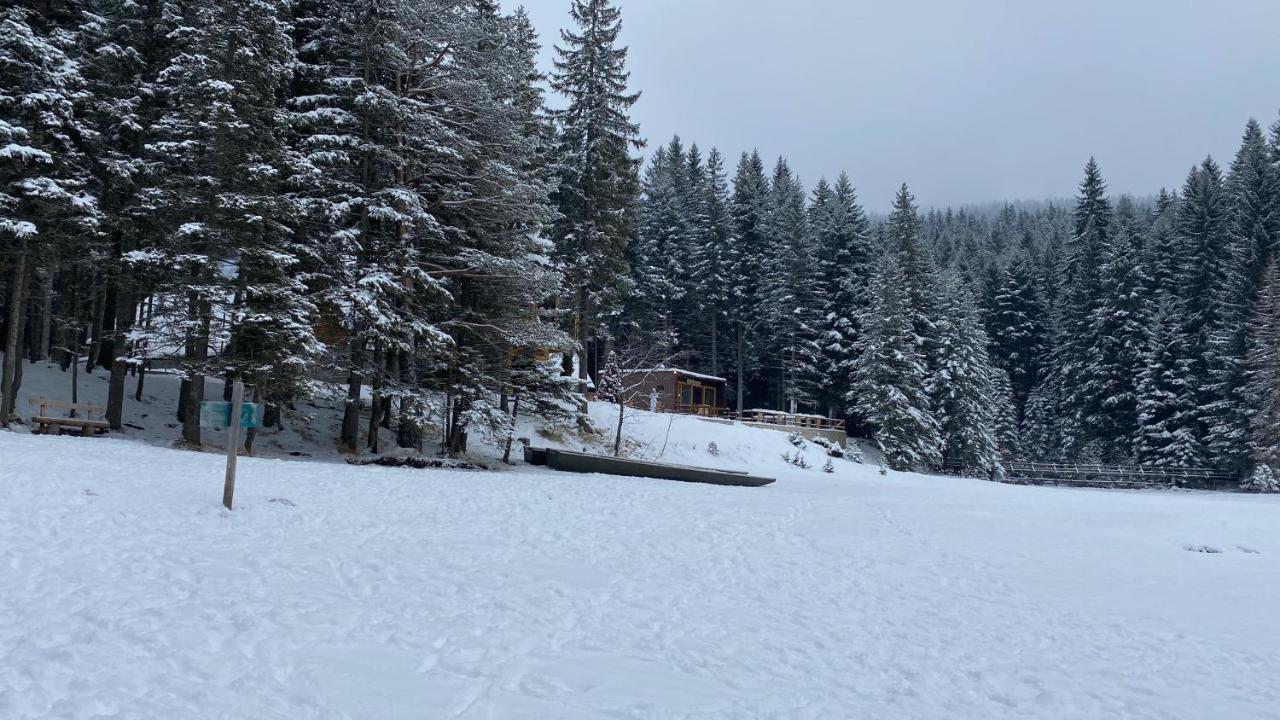 Warm Home Zabljak  Bagian luar foto
